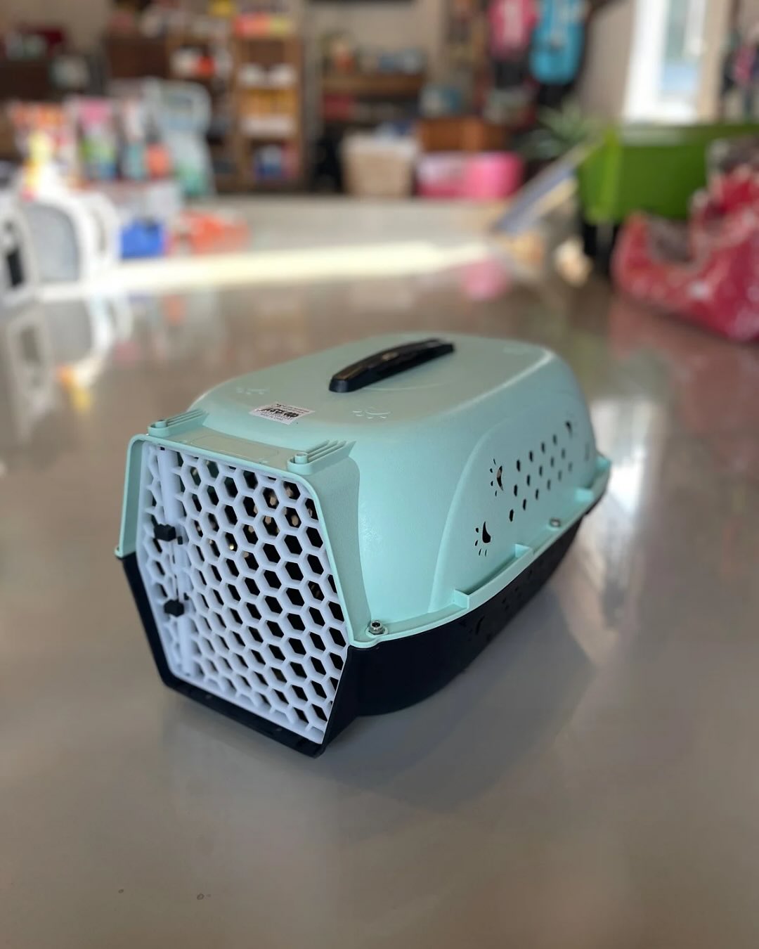 TRANSPORTADORAS DE PLASTICO