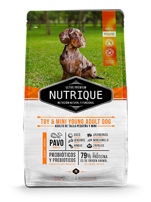 NUTRIQUE DOG ADULT TOY & MINI