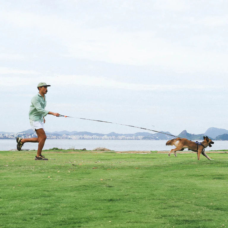 PRIMO LONG LEASH ADJ 3 MTS