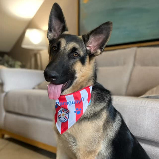 BANDANA DE PARAGUAY