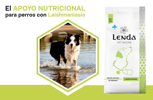 LENDA VET NATURE DOG LEISHMANIASIS CARE