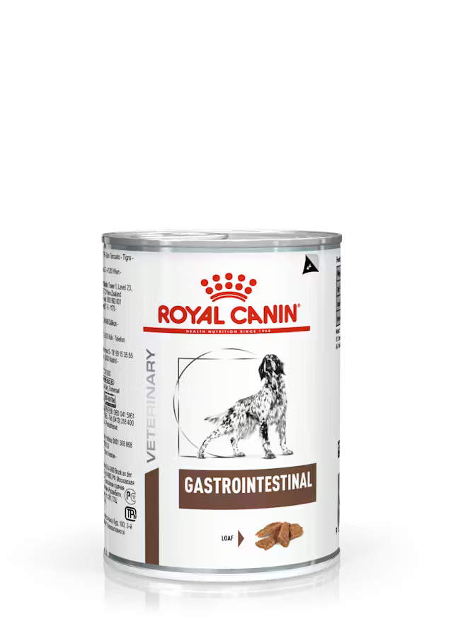 ROYAL LATA GASTRO DOG 400 CC