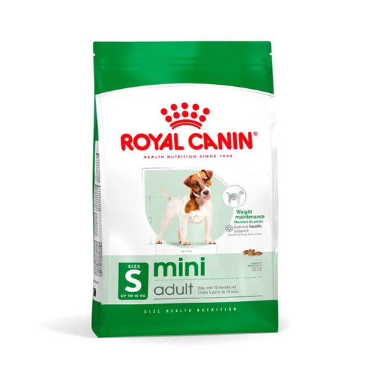 ROYAL MINI ADULTO