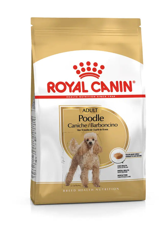 ROYAL MINI POODLE ADULT