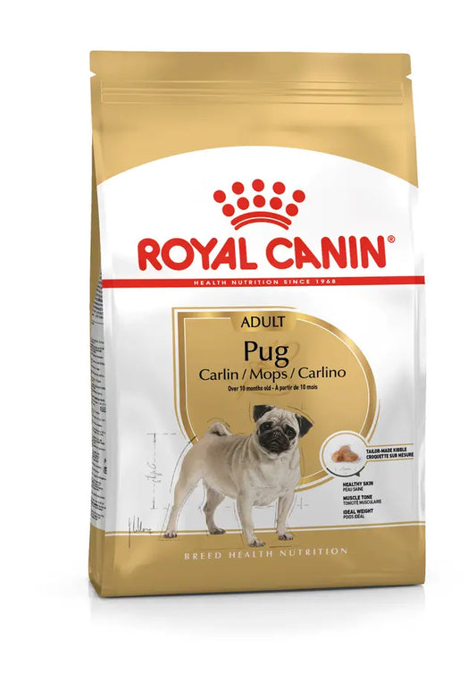 ROYAL PUG ADULT