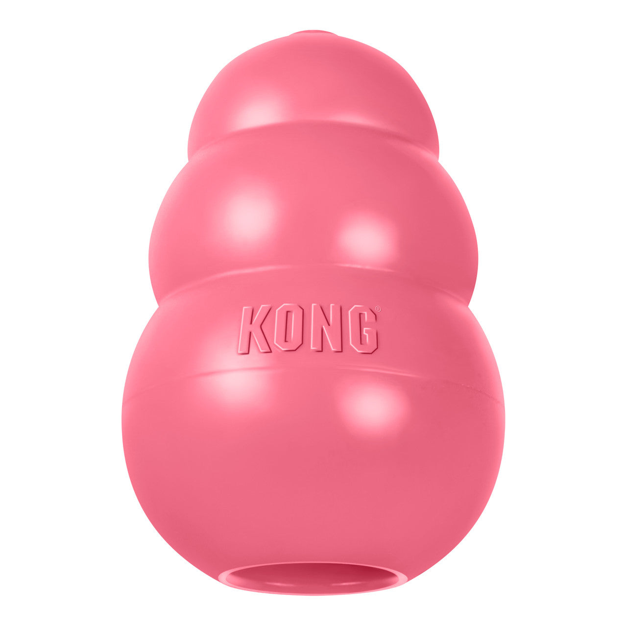 KONG PUPPY