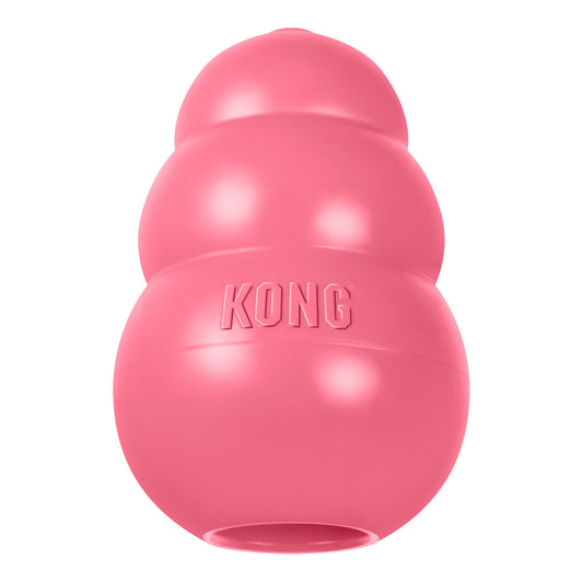 KONG PUPPY