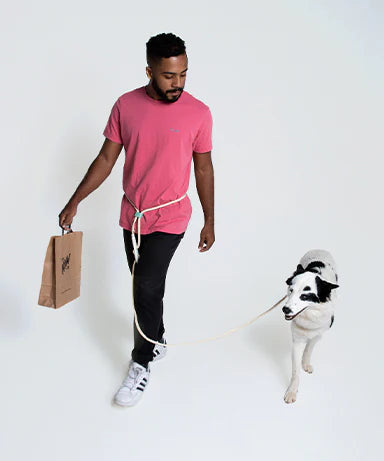 ZEE DOG GUIA HANDS FREE LEASH VAIN