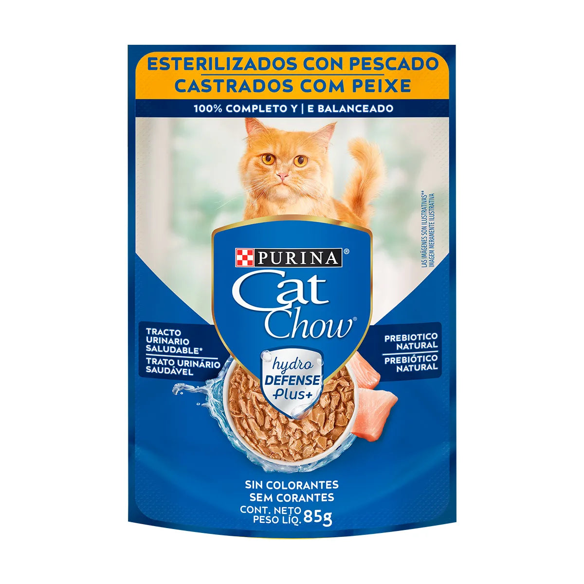 CAT CHOW SALSA CASTR PESC 85GR