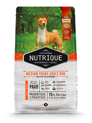 NUTRIQUE DOG ADULT MEDIUM